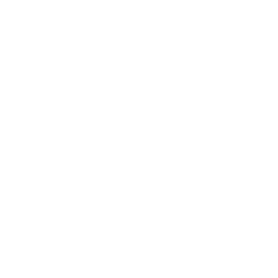 Lightning Bolt Icon